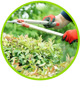 リフォーム・造園のこと